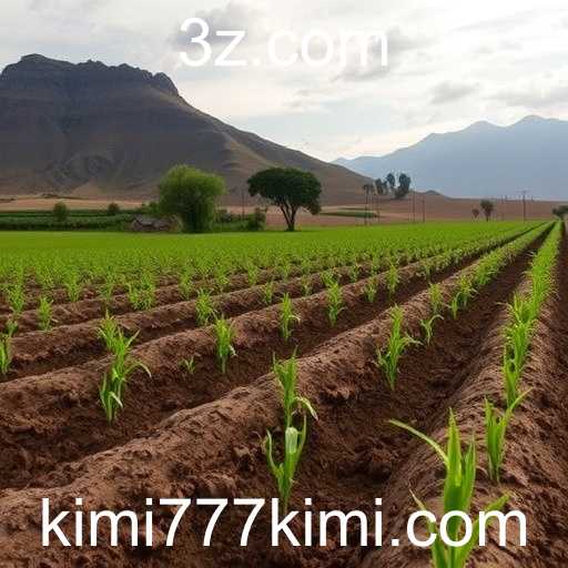 Reportagens da Mídia